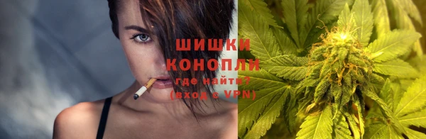 ГАЛЛЮЦИНОГЕННЫЕ ГРИБЫ Алексин