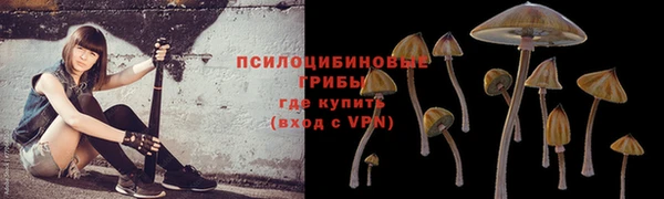 ГАЛЛЮЦИНОГЕННЫЕ ГРИБЫ Алексин