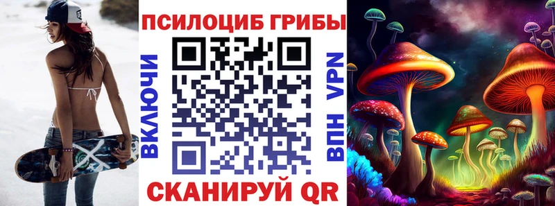 как найти закладки  Жуковский  OMG ONION  Псилоцибиновые грибы GOLDEN TEACHER 